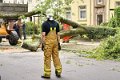 Feuerwehr_Baum   026